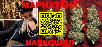 амф Моздок
