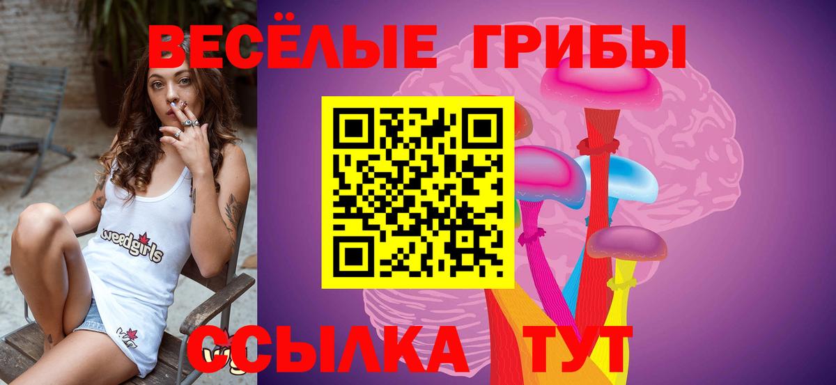 Псилоцибиновые грибы Psilocybe  Вход с VPN  Сыктывкар 