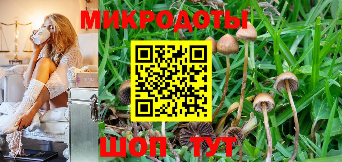 Псилоцибиновые грибы прущие грибы Сыктывкар